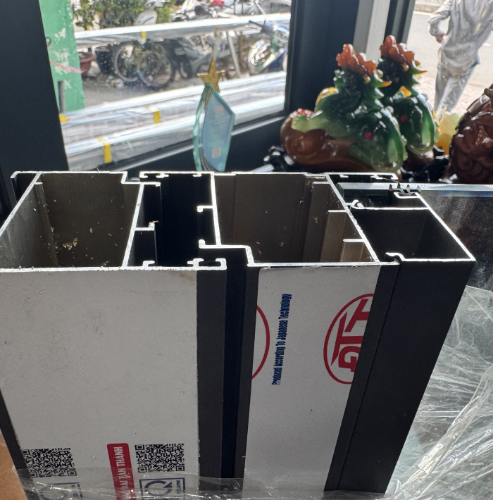 XFDTT CỬA ĐI HỆ 55